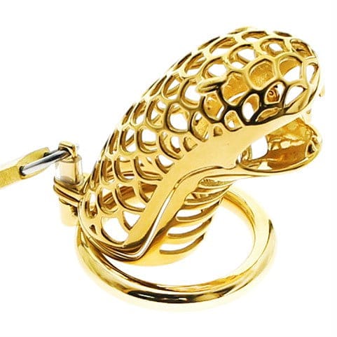 Gaiola De Castidade Peniana Homem - Metal - Godzilla Dourado